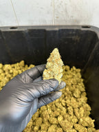 Indoor White Wizard CBG Hemp Flower