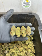 Froot Funk Hemp Flower