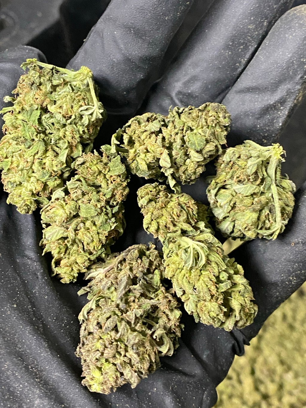 Frosted Lime CBD Hemp Flower