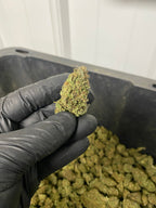 Trump-X CBD Flower