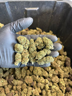 Chem Berry Hemp Flower