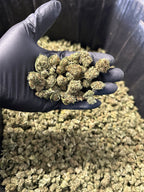 Cake Berry Hemp Flower Smalls