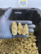 Indoor Northern Lights CBD Hemp Flower