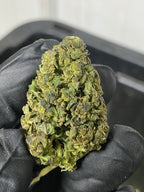 Frosted Lime CBD Hemp Flower