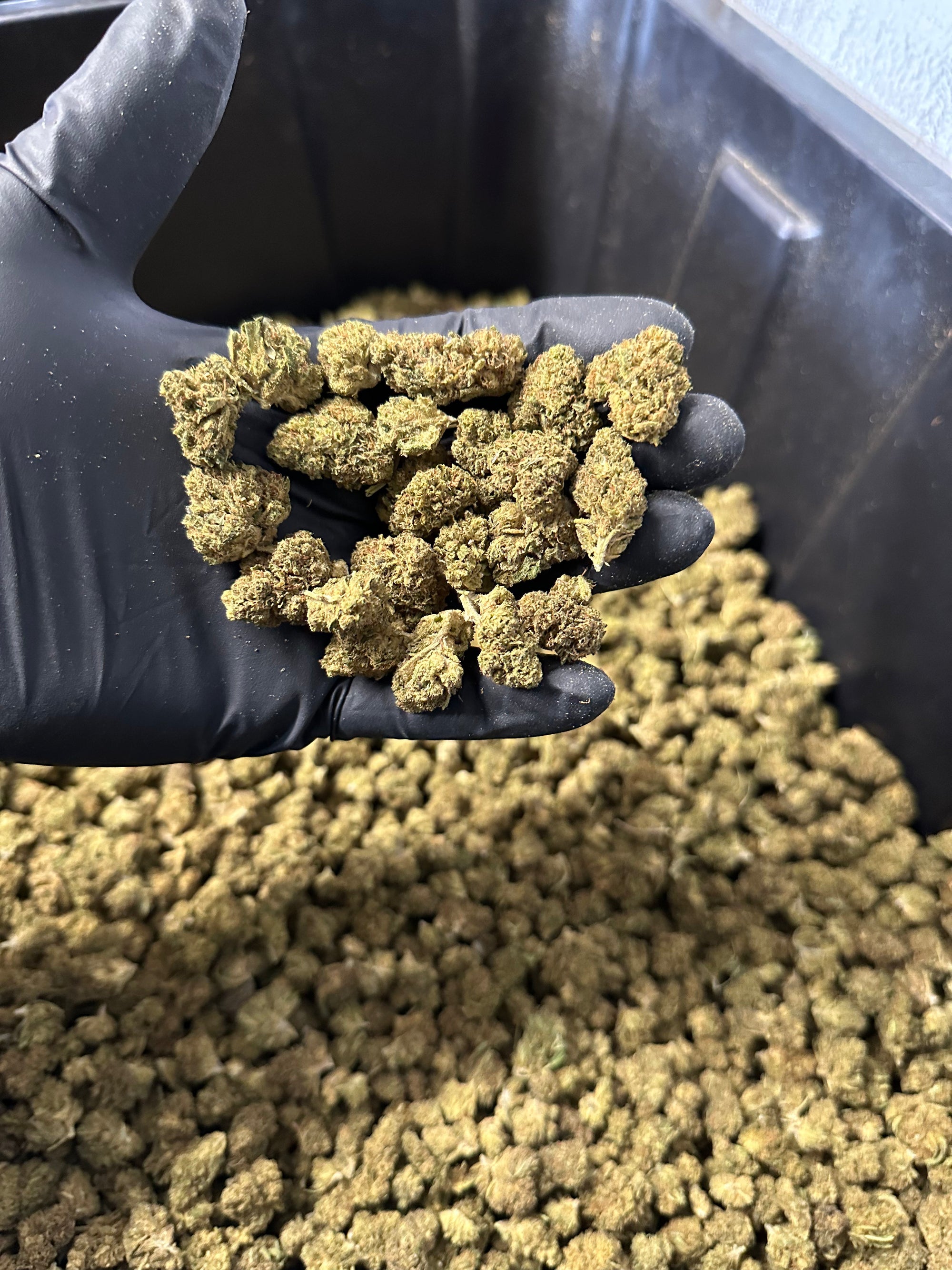 Lifter Smalls Hemp Flower