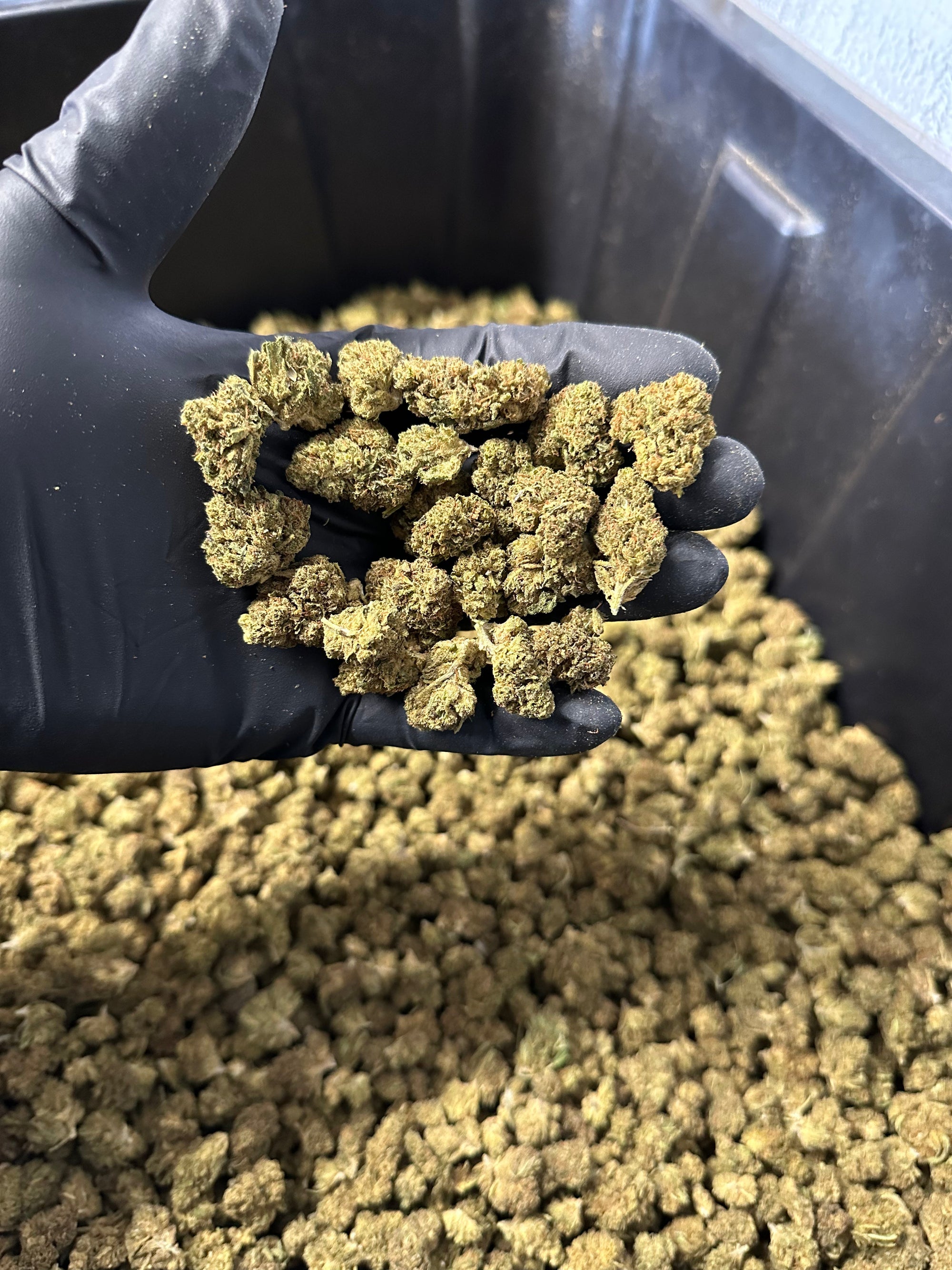 Lifter Smalls Hemp Flower