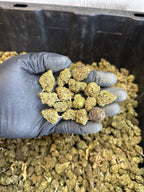 Froot Funk Hemp Flower Smalls