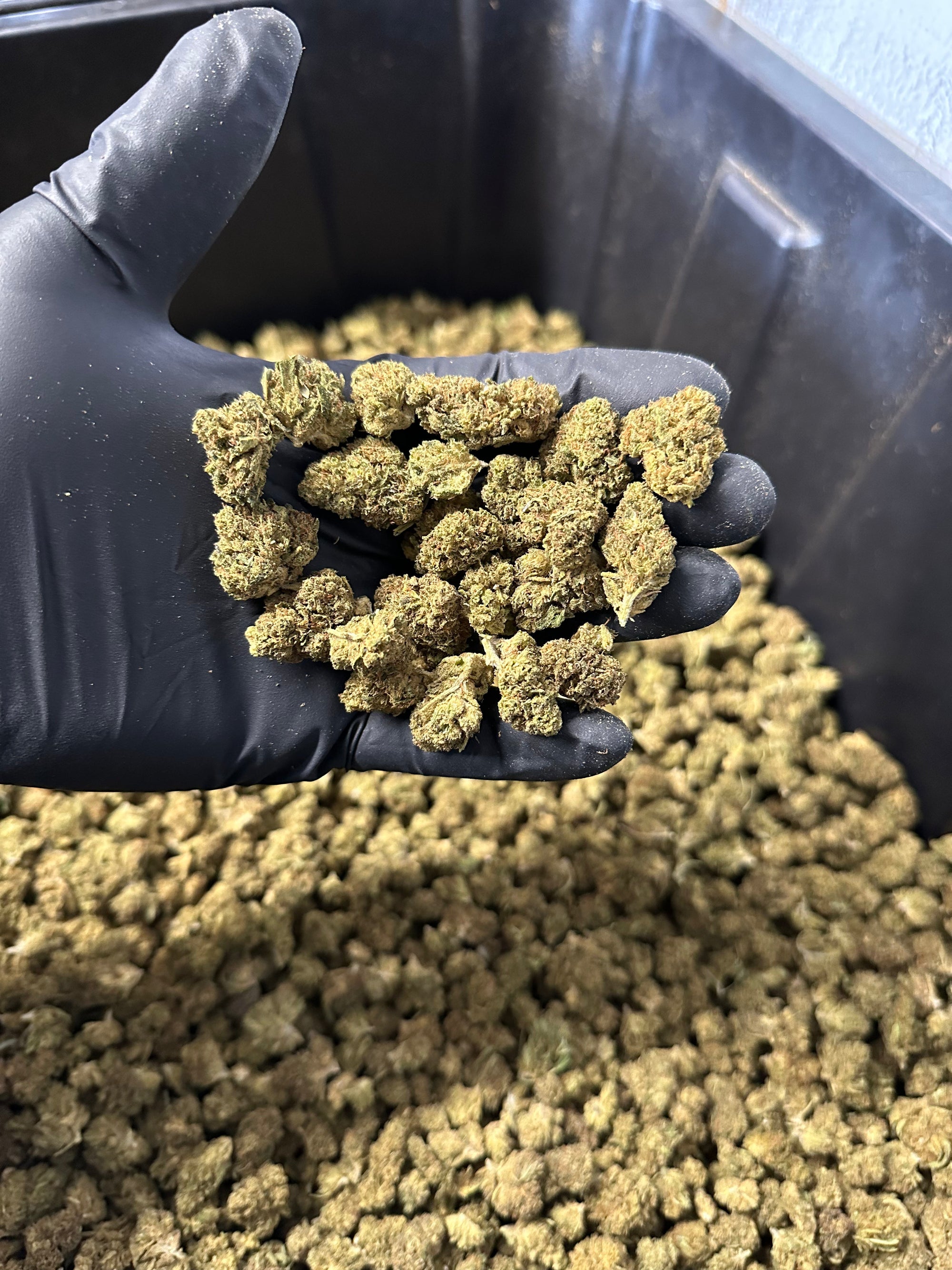 Lifter Smalls Hemp Flower