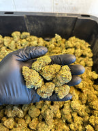 Hawaiian Haze Hemp Flower