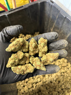 Indoor Blue Cheese Hemp Flower