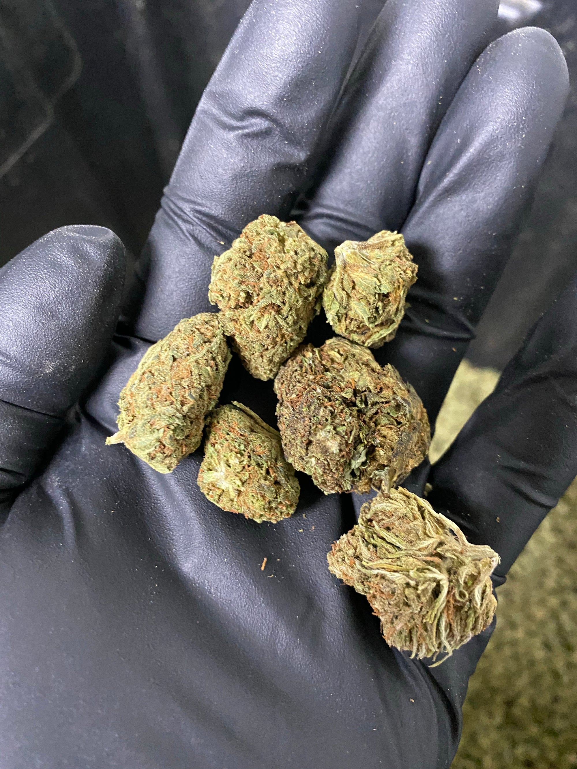 Farmers Hand CBD Flower