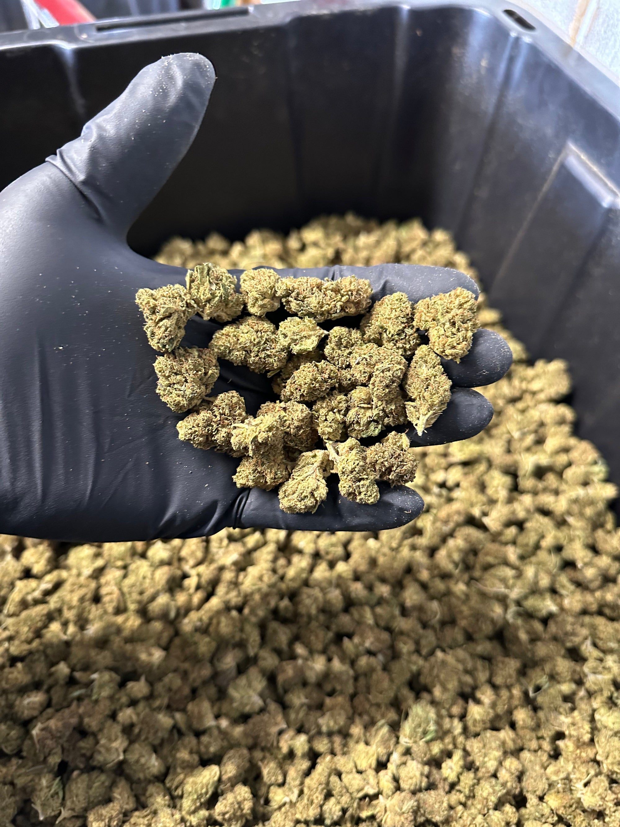 Lifter Smalls Hemp Flower