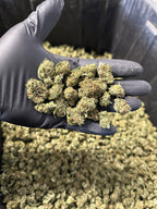 Cake Berry Hemp Flower Smalls