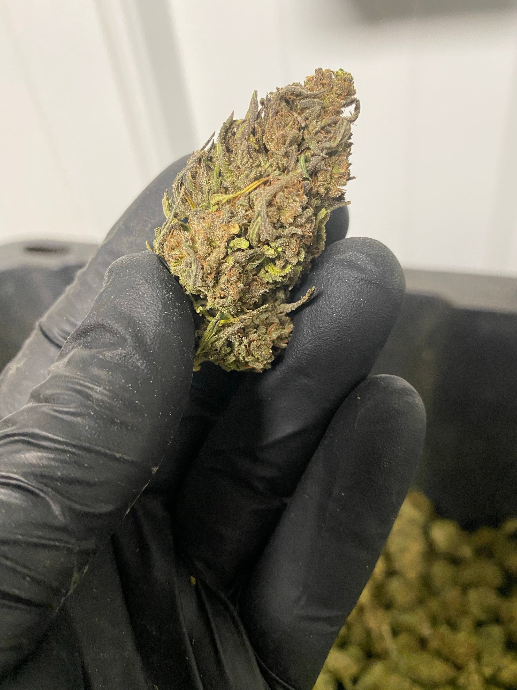 Trump-X CBD Flower