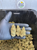 Indoor Northern Lights CBD Hemp Flower