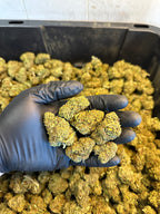 Hawaiian Haze Hemp Flower