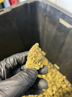 Indoor Agent Orange Hemp Flower