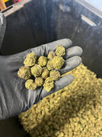 Bubba Kush Hemp Flower Smalls