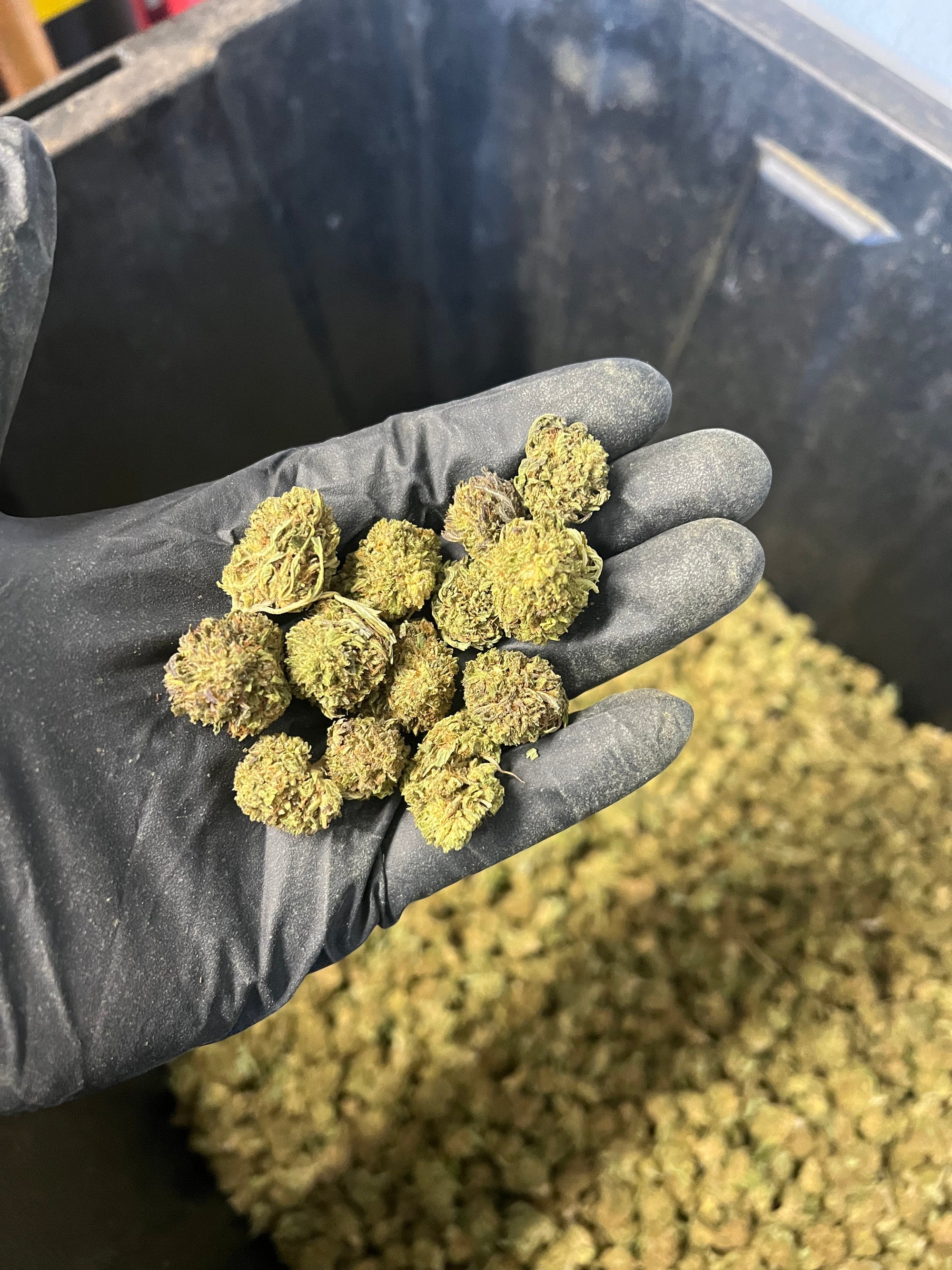 Bubba Kush Hemp Flower Smalls