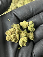 Dutch Delight Smalls