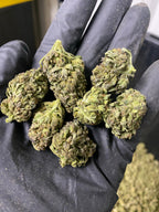 Frosted Lime CBD Hemp Flower