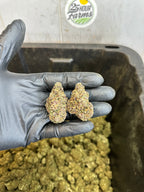 Indoor Purple Skunk CBD Hemp Flower