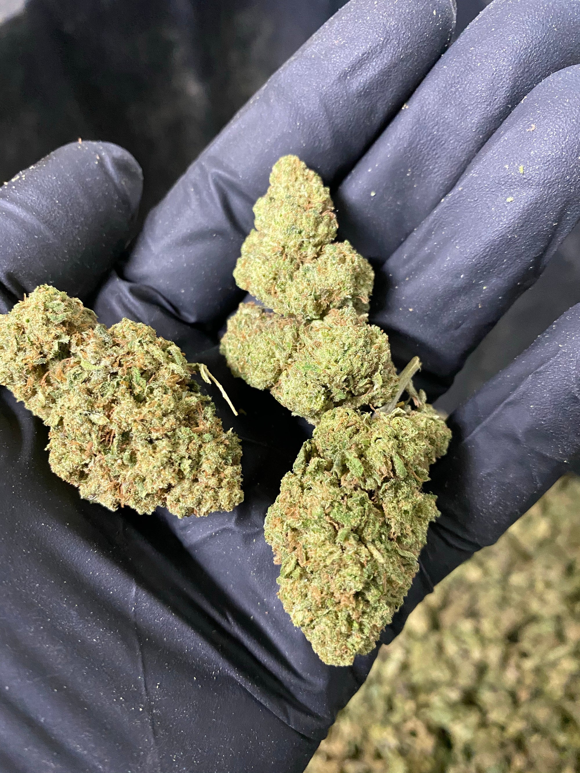Hawaiian Express