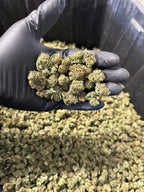 Cake Berry Hemp Flower Smalls