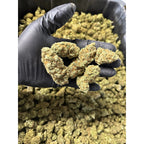 Indoor Lemoncello Hemp Flower