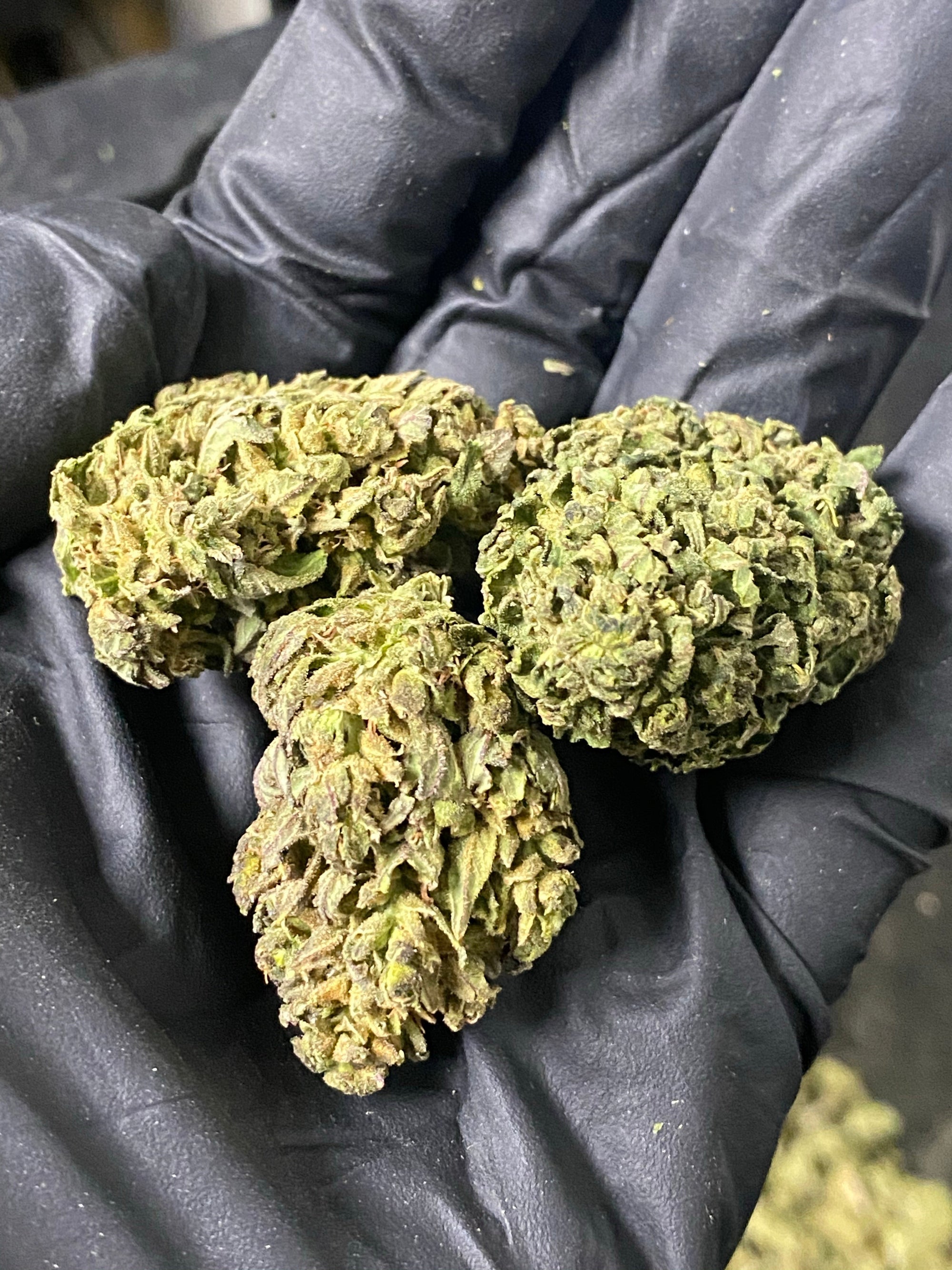 Frosted Lime CBD Hemp Flower