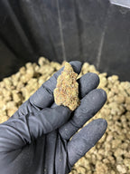 Indoor BlueBerry Haze Hemp Flower