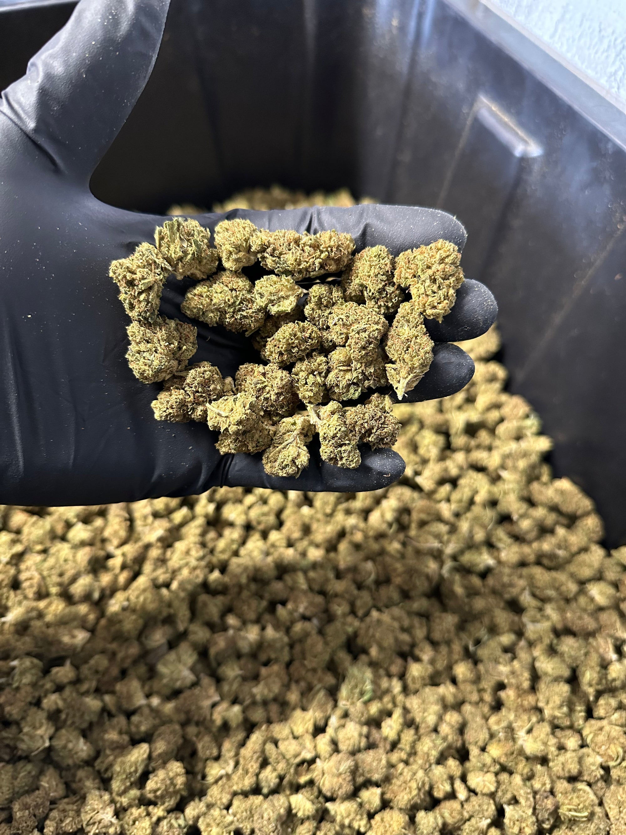 Lifter Smalls Hemp Flower