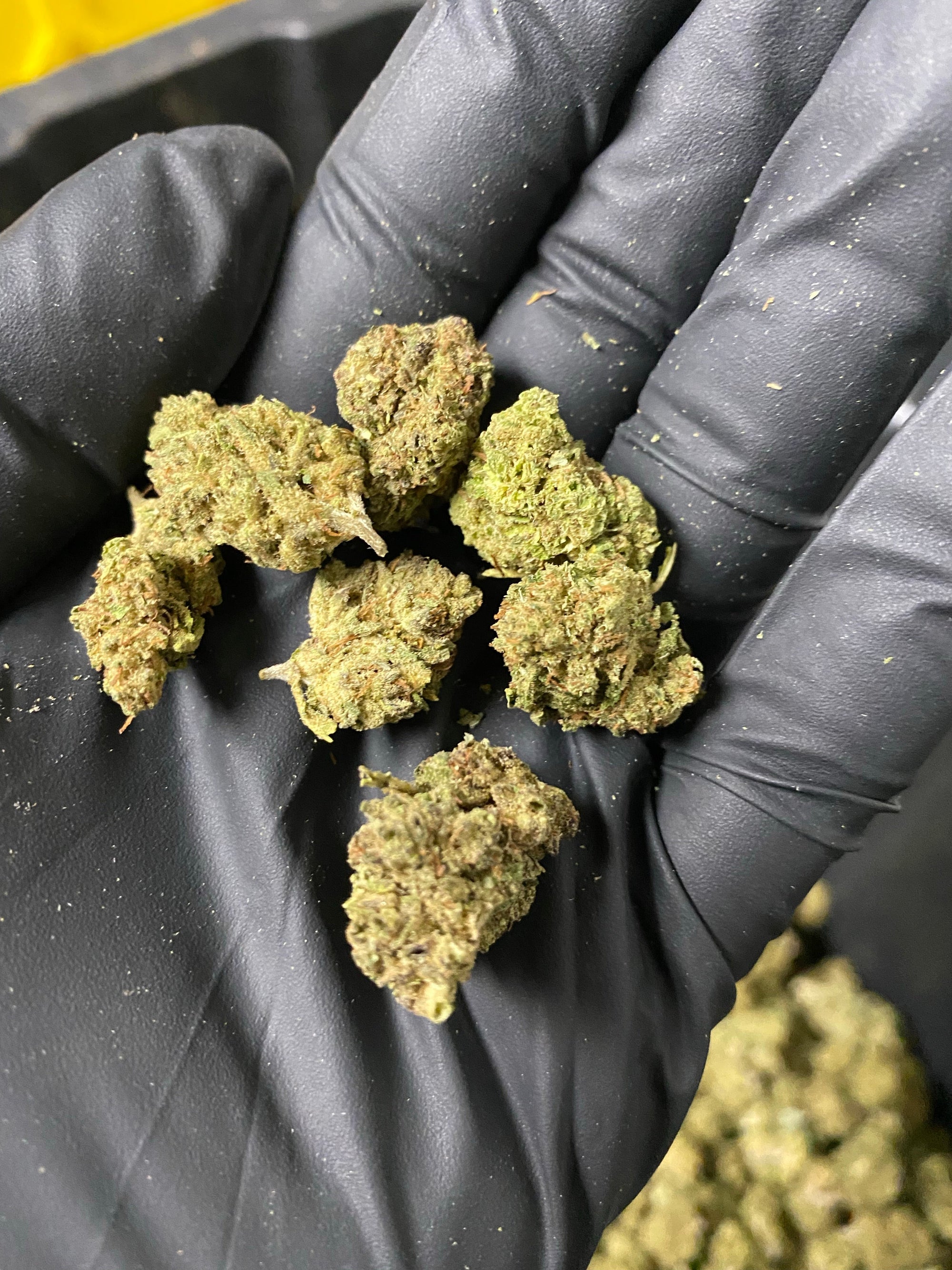 Frosted Kush Smalls