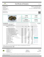 Hawaiian Express Hemp Flower