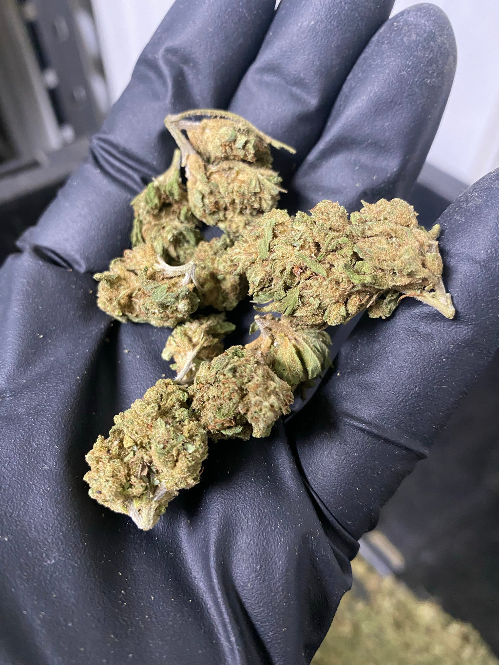2021 The Wife Hemp Flower