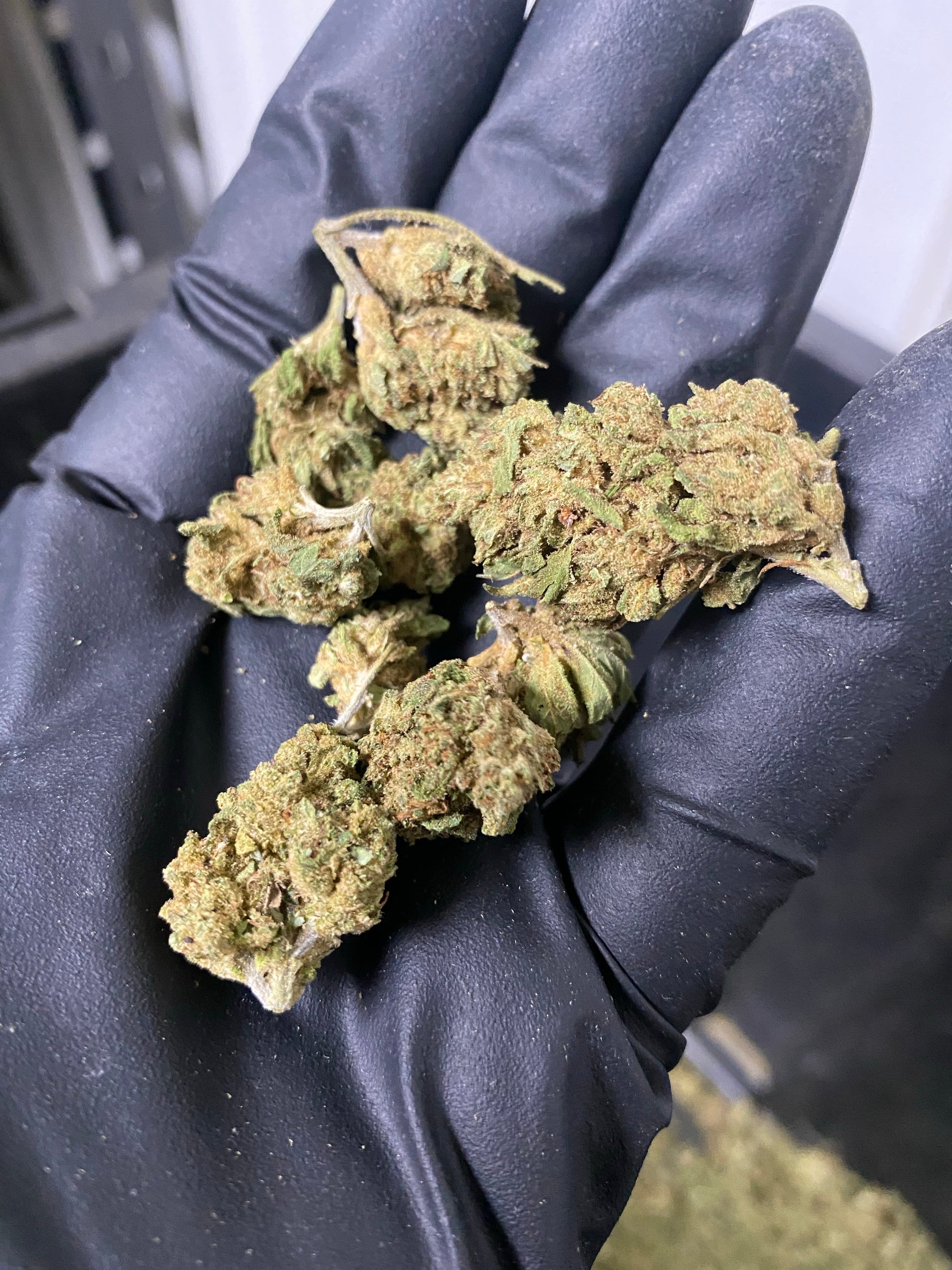 2021 The Wife Hemp Flower