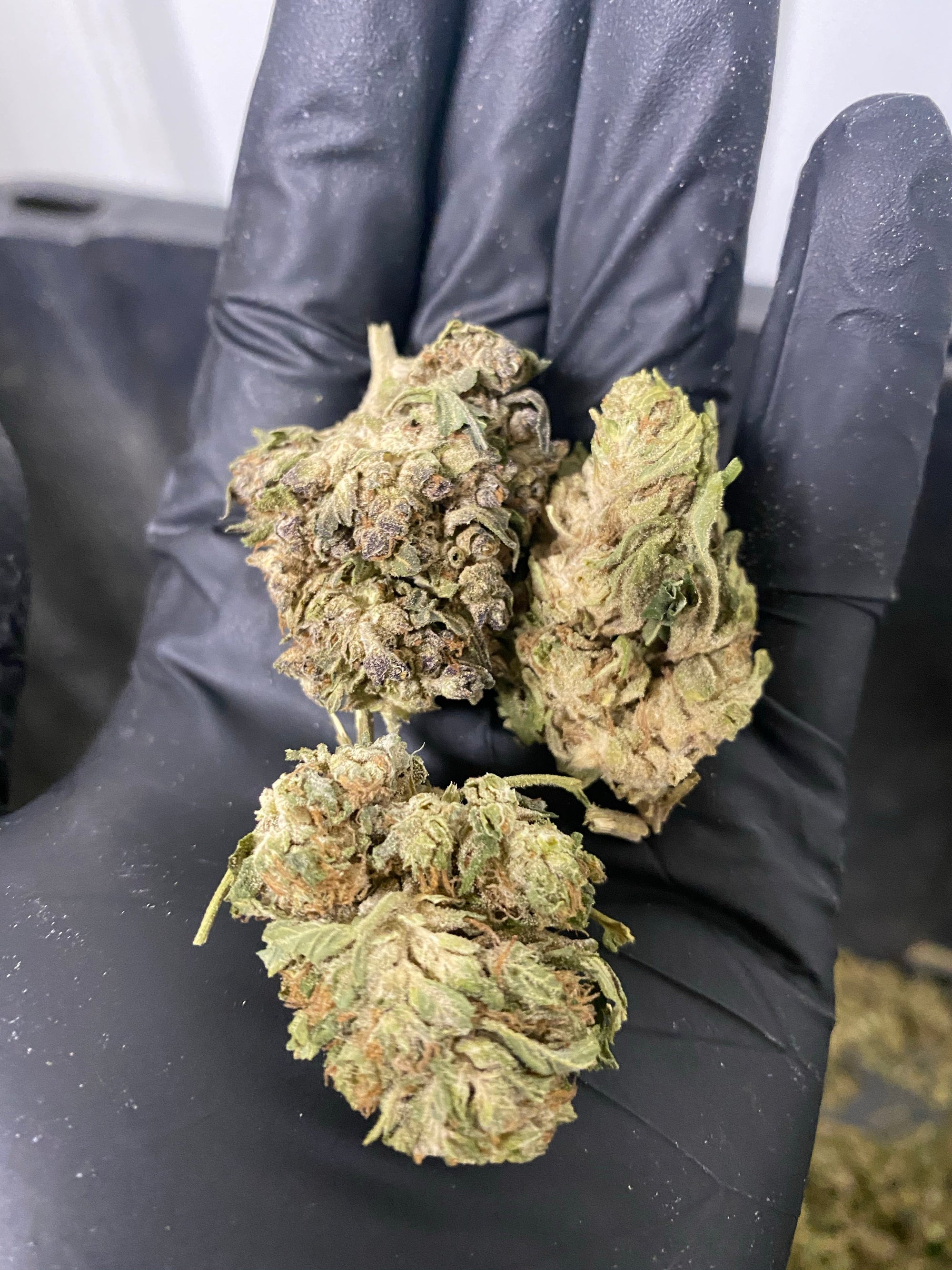 Jackfrost CBG Hemp Flower