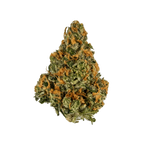 Shezan Mango THCA Hemp Flower (Sativa)